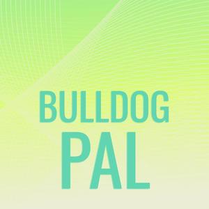 Bulldog Pal