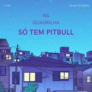 NA QUADRILHA SÓ TEM PITBULL X VOU DESTRUIR TUA BCT (feat. MC BLACK DA PENHA) (Remix)