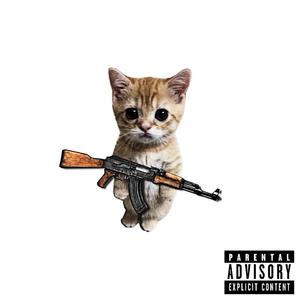 whydoifeellikedying (feat. BOYARDEE) (Explicit)