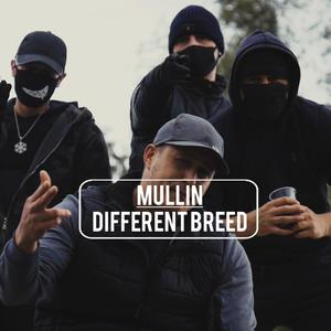 Different Breed (Explicit)