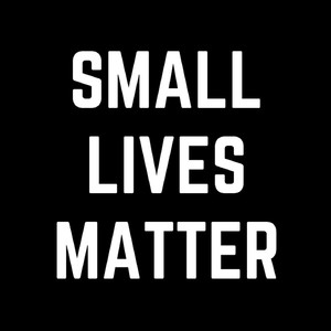 Small Lives Matter