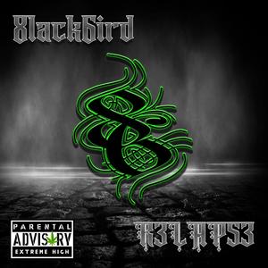 MY D153A53 (Explicit)