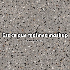 INSTRUMEN EST CE QUE TU MAIMES