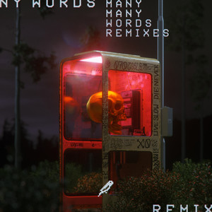 Many Words (Flaws x DROELOE Remix)