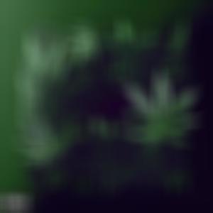 The Marijuana album (Explicit)