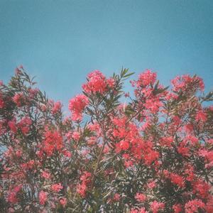 Sunshine (feat. Ben Calhoun)