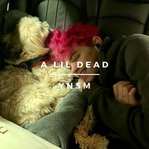 a lil dead (Explicit)