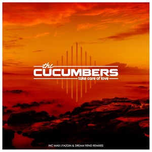 Take Care Of Love (Original Mix)