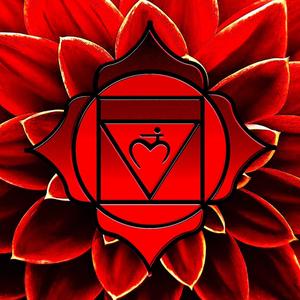 The Seed Root Chakra Remix EP