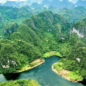 Jungle Sounds of Relief