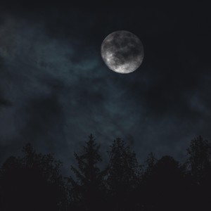 Enter the Wolf (Explicit)
