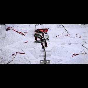 Fake **** (Bonus Track) (Explicit)