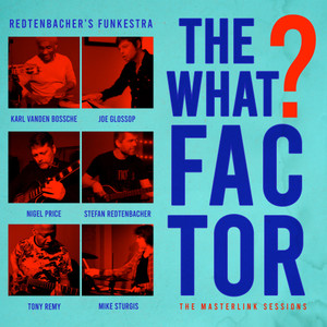 The What Factor?(feat. Nigel Price & Tony Remy) (The Masterlink Sessions)