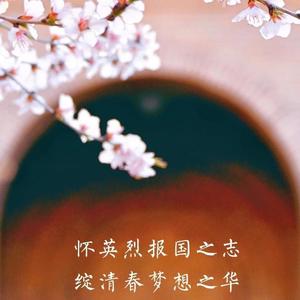 那些花儿