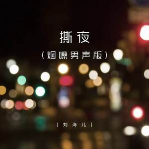 刘海儿 - 撕夜 (烟嗓男声版)