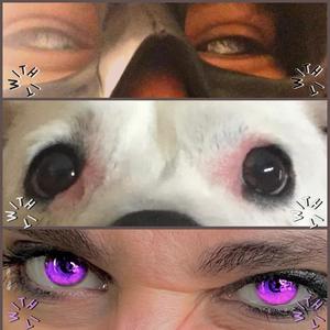 With It (feat. PRiiiNCESS LOU) (Explicit)