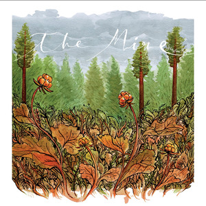 The Mire (Tintin adventure)