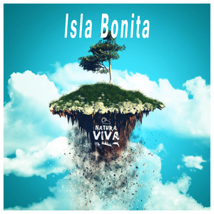 Disturbed (Amir Remix)