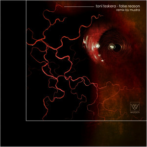 False Reason (Original Mix)