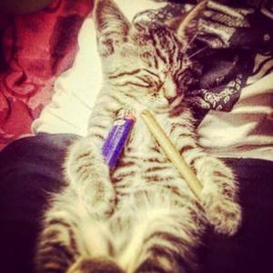 pull up 2 the function!!! #pourinupthetussin (feat. Alcurists) (Explicit)