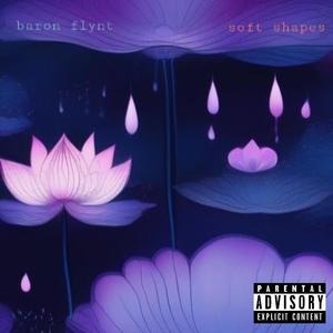 Soft Shapes (Explicit)