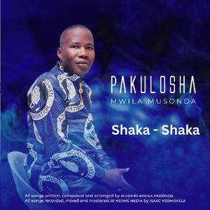 Mwila Musonda (Shaka Shaka)