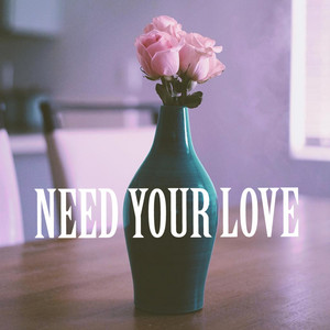 Need Your Love (Explicit)