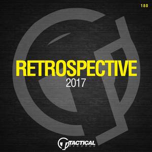 Retrospective 2017