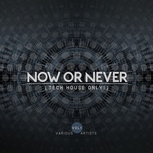 Now or Never, Vol. 1 (Tech House ONLY!)