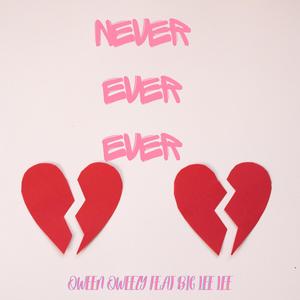 Never ever ever (feat. Big Lee Lee) [Explicit]