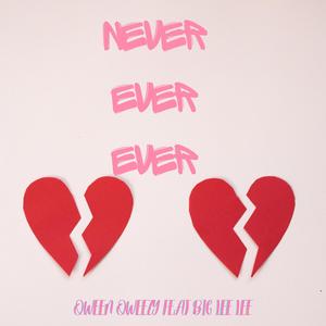 Never ever ever (feat. Big Lee Lee) (Explicit)
