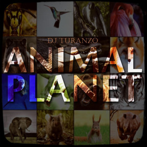 Animal Planet