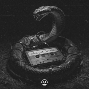Cobra (feat. Jamaika) (Explicit)
