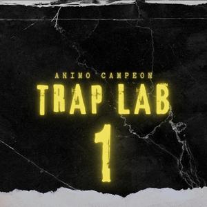 Trap Lab 1