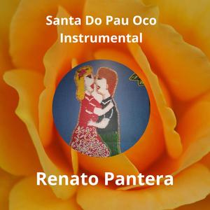 Santa Do Pau Oco - Instrumental