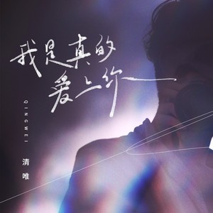 我是真的爱上你 (DJ九零版)