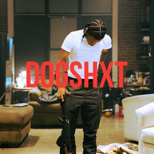 Dogshxt (feat. Reese29st) [Explicit]