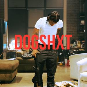 Dogshxt (feat. Reese29st) (Explicit)