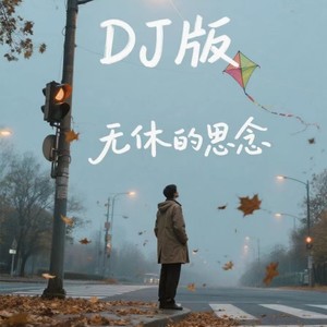 无休的思念 (DJ版伴奏)封面