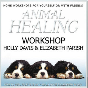 Animal Healing Workshop