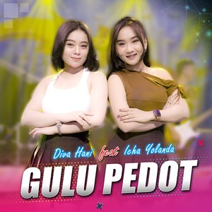 Gulu Pedot