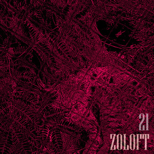 21