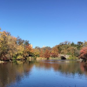 妈妈，你为什么不说话