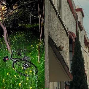 Happenstance (Explicit)