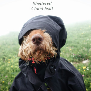 sheltered