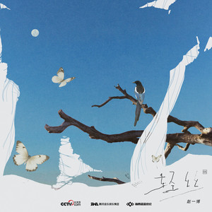 轻丝-赵一博