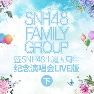 SNH48 FAMILY GROUP 暨 SNH48出道五周年纪念演唱会（下）