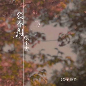 爱不得恨不舍 (DJ可乐版)封面