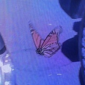 On The Regular (Explicit)