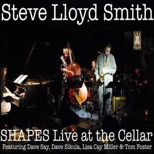 Shapes Live at the Cellar